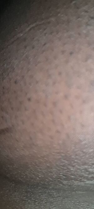 African Chicks Big Ass Cumshot Ebony