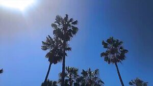 Magga Braco has an amazing CLB