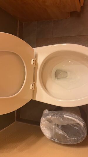 Male Pissing Amateur Cock Homemade Hotel