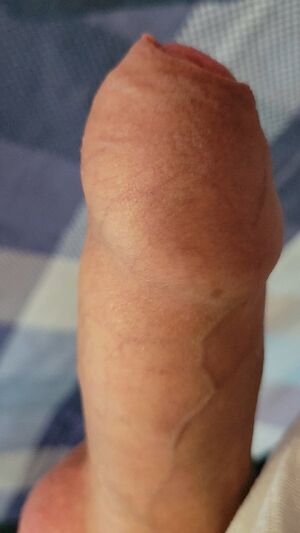 Foreskin Amateur Close Up Cock Foreplay