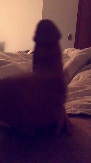 She ight need a second set of hands!