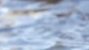 Serena Ali & Cherry Hilson