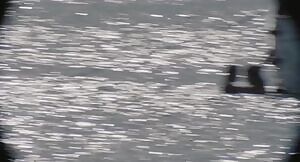 Amber Heard in The Rum Diary