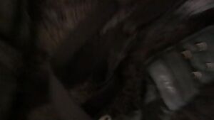 Video I got while I was on vacation for the holidays