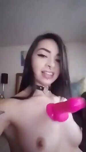 the elegant chesticorn