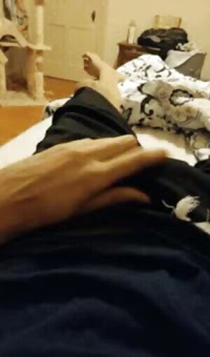 Getting warmed up. PM's welcome