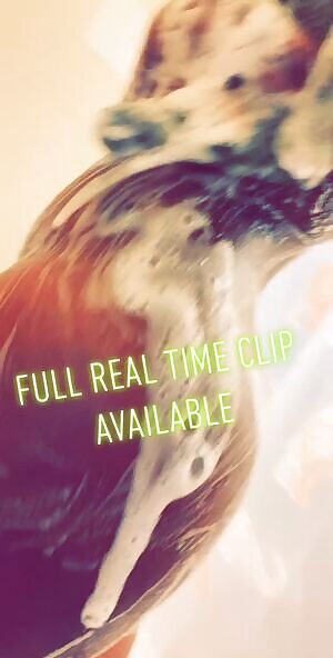 Enjoy the essence of a beautiful, ebony goddess, as I rinse the day away in this full shower clip 💦🍑 available on OnlyFans ✨ CocaNyx6 Custom Content Sexting & More