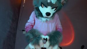 Solo Furries Furry NSFW