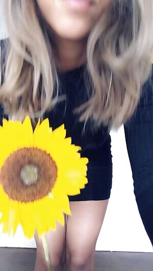 Sunny days with sunflowers 🌻