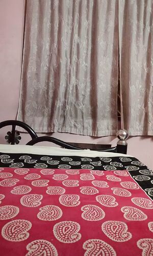 Indian Sissy Big Ass Crossdressing Desi