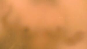 translucent /transˈlo͞osnt,tranzˈlo͞osnt/ adj. permitting light to pass through but diffusing it so that persons, objects, etc., on the opposite side are not clearly visible