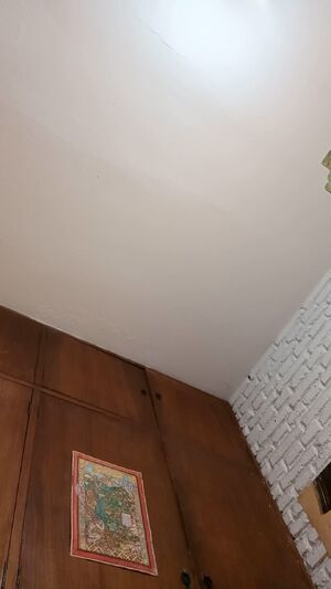 Domme Next Door Ass Curvy Domination
