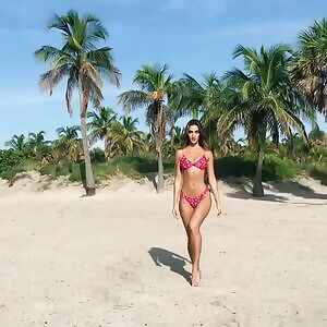 Priscilla Ricart in Blackbough Swim bikini