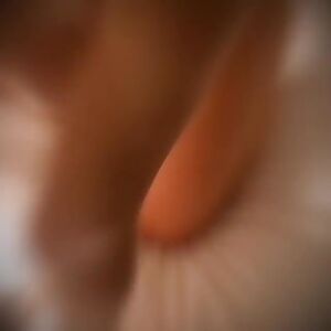 I've never met such a majestic ass before