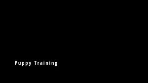 Pup Community Hypno Hypnosis PetPlay Puppy