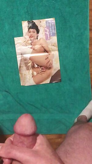 Made use of an old porn mag