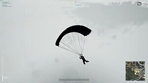 Quarantine with a view