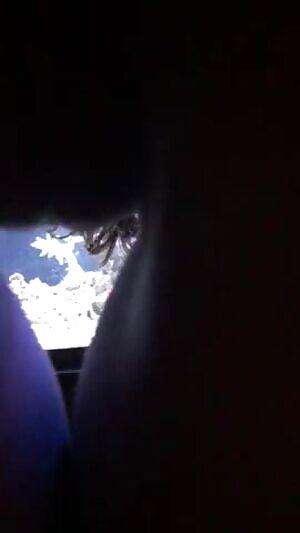 Doing a little aquarium maintenance