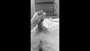 Second load of the day.