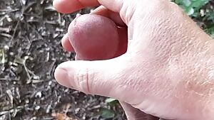 Went for a walk, got bored...