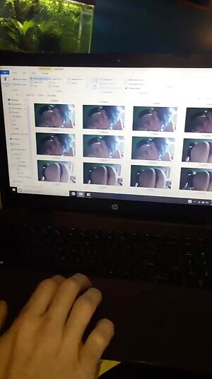 Got a whole bunch o pics to find homes for!