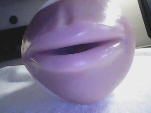 Male Sex Toys Fleshlight Stoya Toy