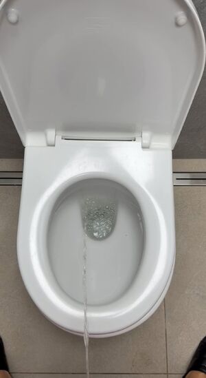 Pee Swallowing Peeing Piss Pissing Watersports