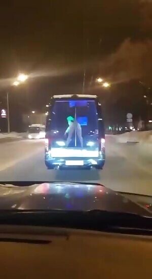 The Stripper-Van