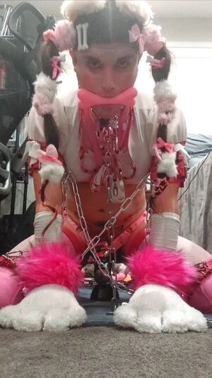 Pup Community BDSM Bad Dragon Ballbusting
