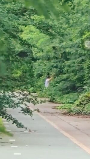 Outdoor Sex Bareback Gay r/FuckOutdoors
