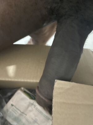 Gay Bondage BBC Big Dick Nude