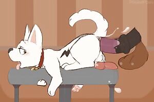 A different type of show