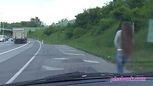 Pissing by the side of a busy highway