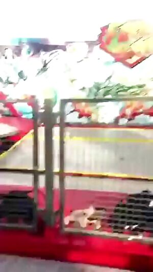 Ohio State Fair Accident 2017