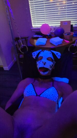 Pup Community Bad Dragon Group Puppy