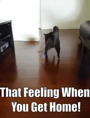 Does anyone know who this girl is?