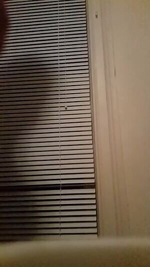 Barely fit in these leggings... MIC