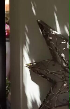 Meghan falcone and her big tits