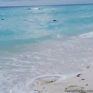 Gabriella Lenzi ~ white bikini in the surf.