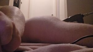 Rough Gay Anal BBC slut Fuck Machine