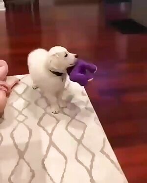 When you're playing then daddy puts on your favourite movie 😁