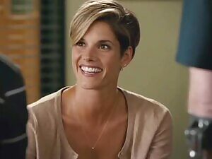 Missy Peregrym