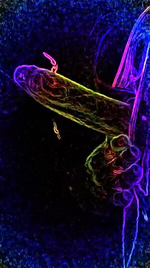 Neon filters are pretty cool!