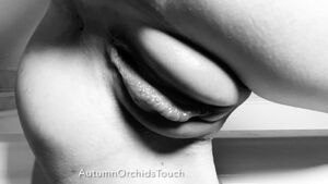 Erotic Photography Autumn Orchid Fetish Kinky