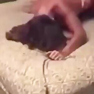 Seen this clip everywhere, I’m sure someone knows it!