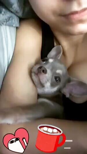 Again, luckiest dog ever