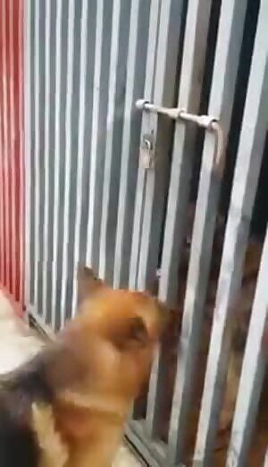 They have feelings too