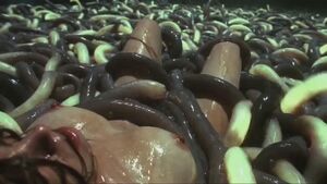 Tentacle Porn Alien Boobs Brunette Monster