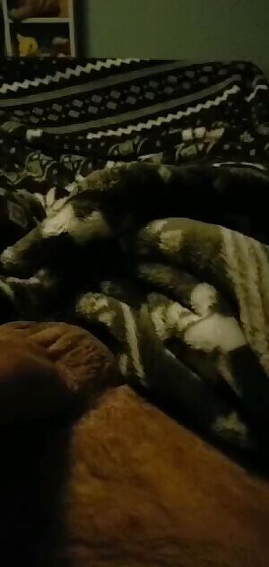 Cum fountain in Action