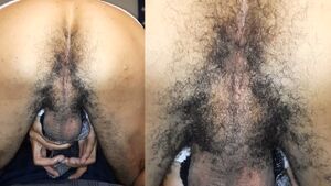 Pulsating Assholes Ass Asshole Cum Edging